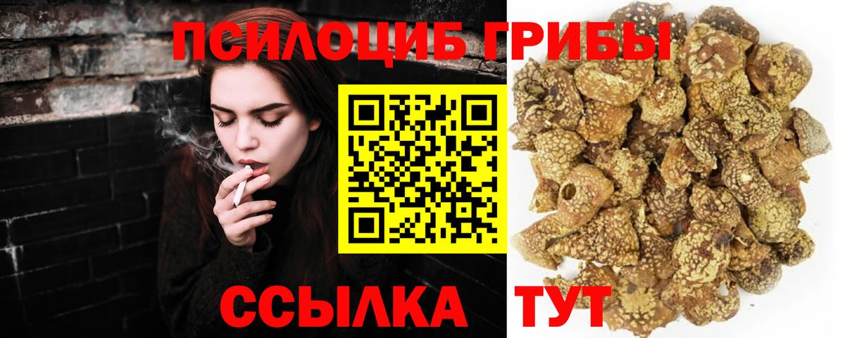 Псилоцибиновые грибы мухоморы  Вход с VPN  Сальск 
